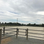 Equestrian Arena