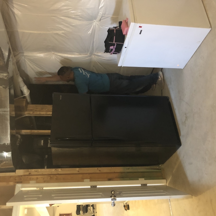 Basement Gym