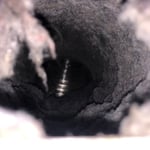 Dryer Vent Packed with Tint
