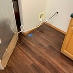 Whole house cleaned