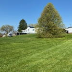 Mow