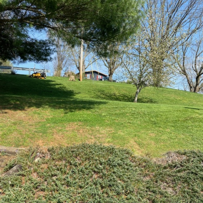 Mow