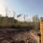 Pond build
