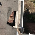 Rodent chewed entry