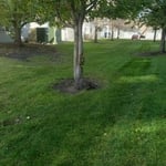 Mowing