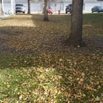 Mowing