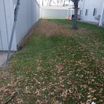 Mowing