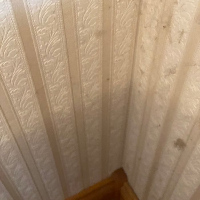 deep cleaning