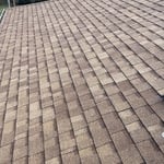Shingle Roof