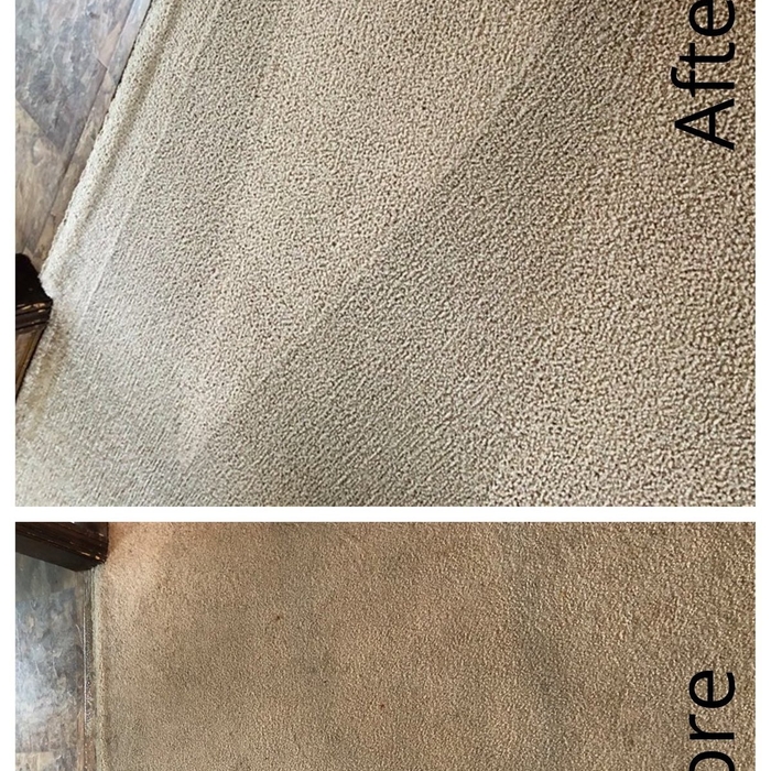 Carpet Cleaning
