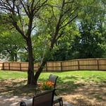 Cedar Fence