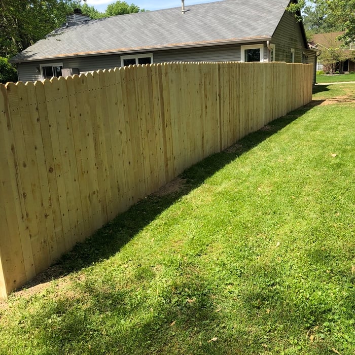 Cedar Fence