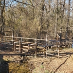 Fencing