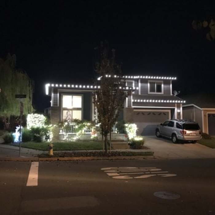 Resident Projects