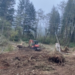 clearing