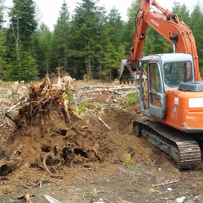 more clearing the trees and stumps