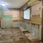 Cabinet tear out