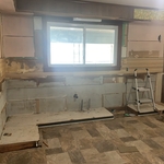 Cabinet tear out