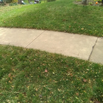 front yard
