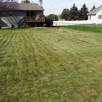 lawn1
