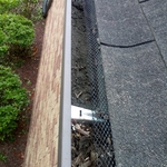 Gutter Cleaning