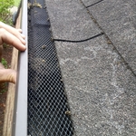 Washing/Gutter Cleaning