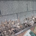 Washing/Gutter Cleaning