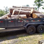 One Branch at a Time!