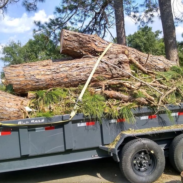 One Branch at a Time!