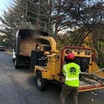 Tree Service