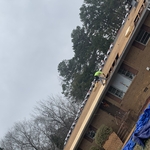 asphalt shingle repair