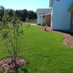 Foundation Bed Lines