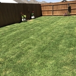 Saving the lawn
