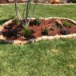 New landscaping