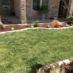 New landscaping