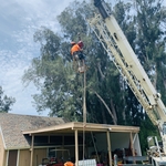 Crane Removal