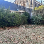 Trimming