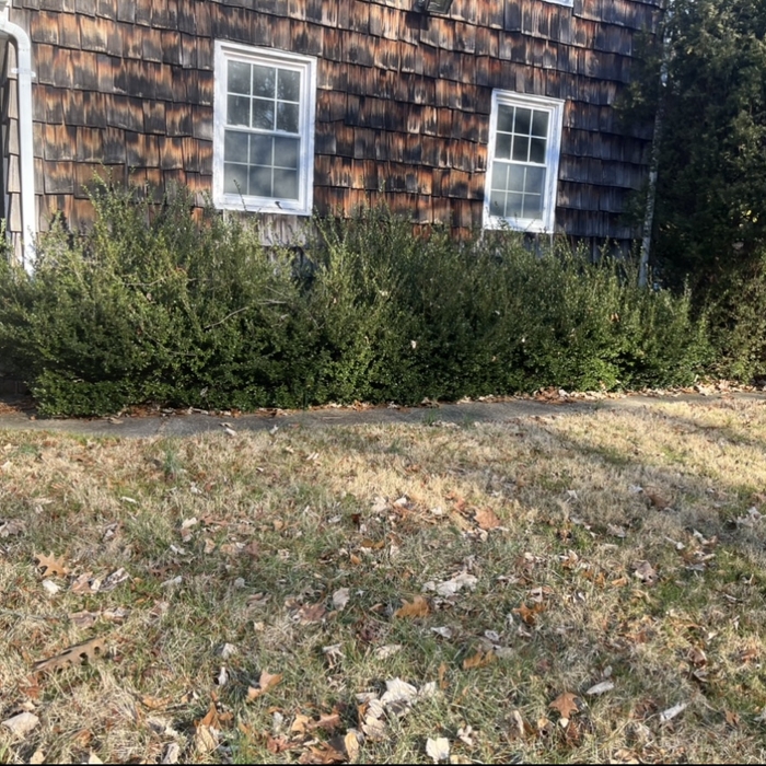 Trimming
