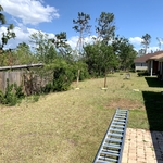 Fence