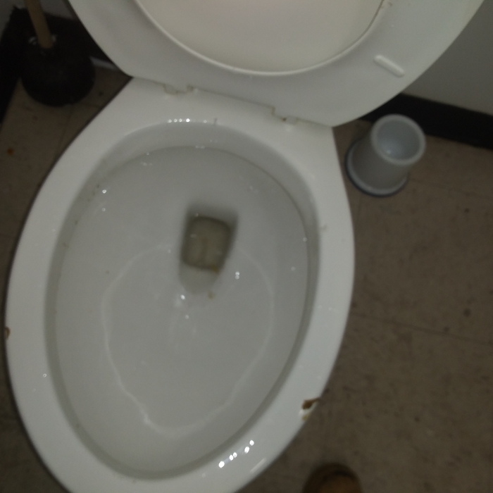 and it flushes!!