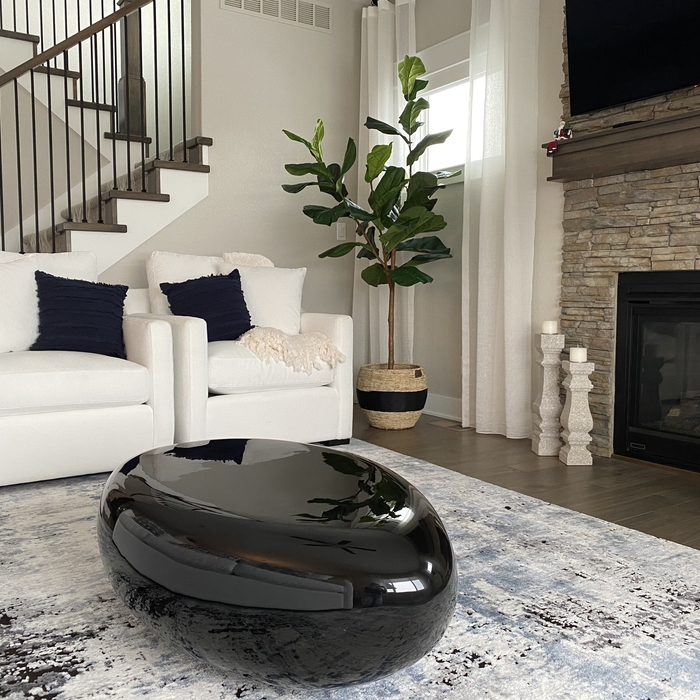 Accent Chairs and Modern Coffee Table