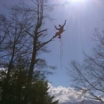 Just another beautiful day in the trees