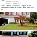 Before / After Shrub
