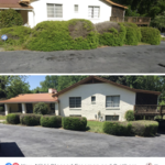 Bush Trim Before / After