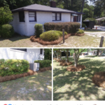 Bush and Lawn Before and After