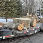 Hauling to block wood from property
