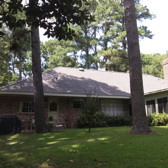 Roof Replacement Rear