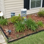 curb appeal rejuvenation