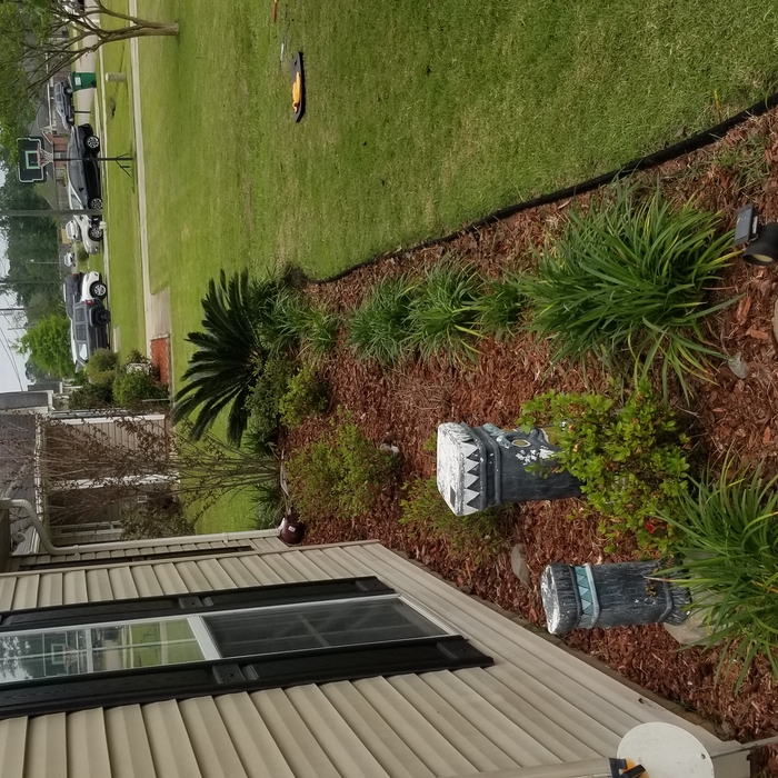 flower bed maint
