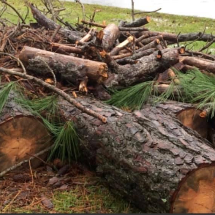 Tree limb removal